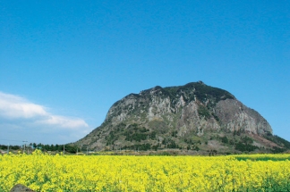 3N4D Nami, Petite France, Jeju, Mt. Seorak