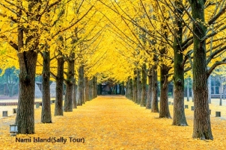 4N5D Nami, Seorak, Everland, Seoul